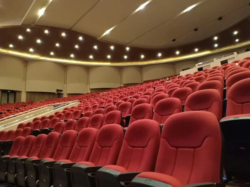 Empty seats in a large congress auditorium ready for delegates.