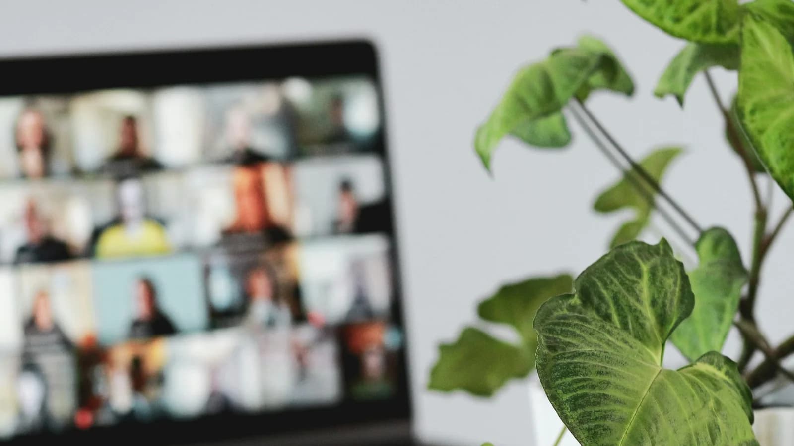 Laptop screen showing a video conference call with multiple participants.